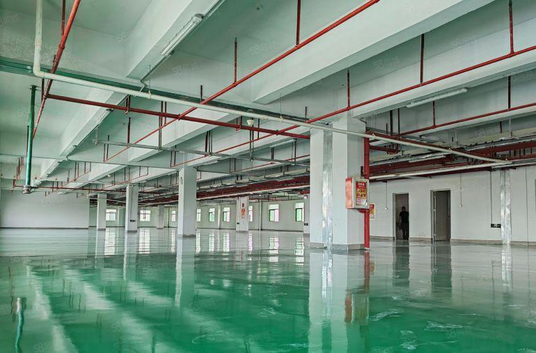 惠城小金口原房东楼上厂房仓库带装修实际面积300平起低价出租