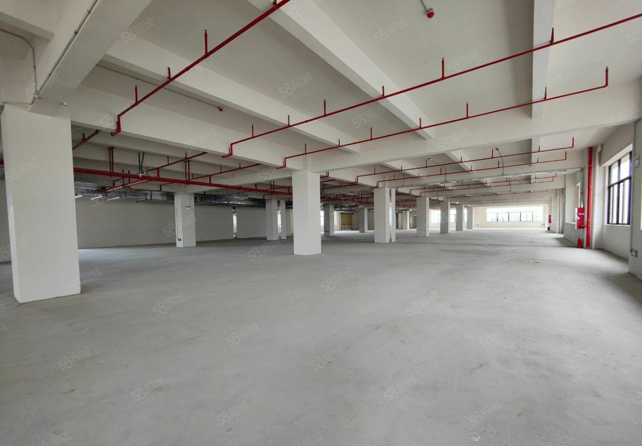 钜惠!惠城区新出花园式独门独院标准厂房出租，证件齐全可办环评