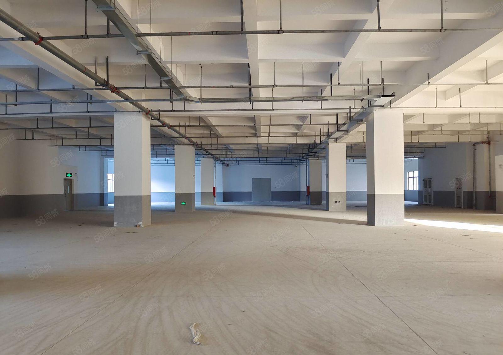 水口镇东江千亿产业园新空出一楼2700平方全新红本厂房出租