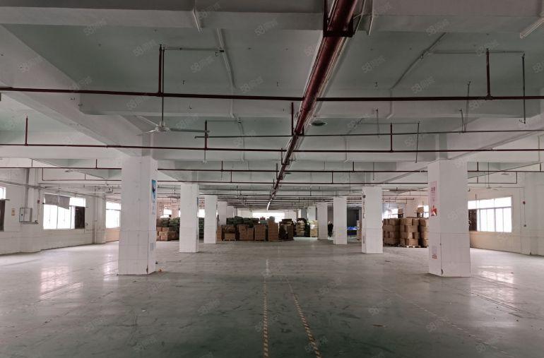 马安新乐二三层各2300平方带装修红本厂房招租可分租