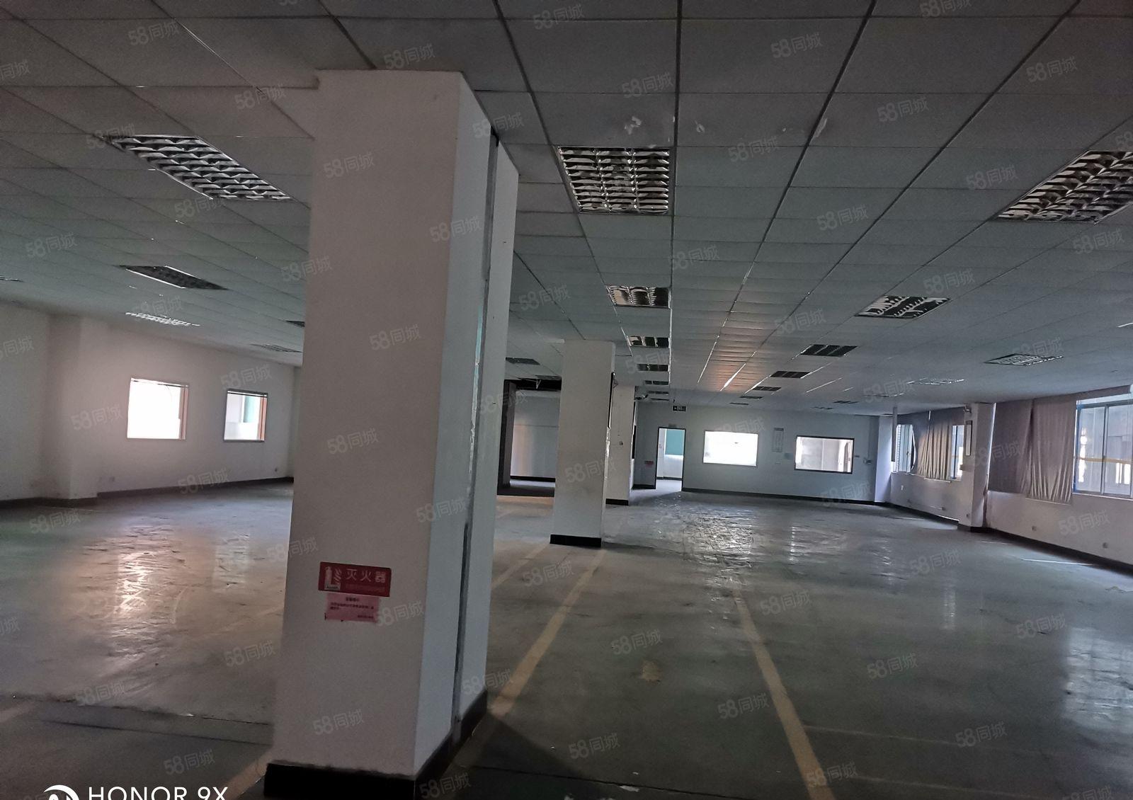 原房东，马安标准厂房4356平米出租，配套全形象靓