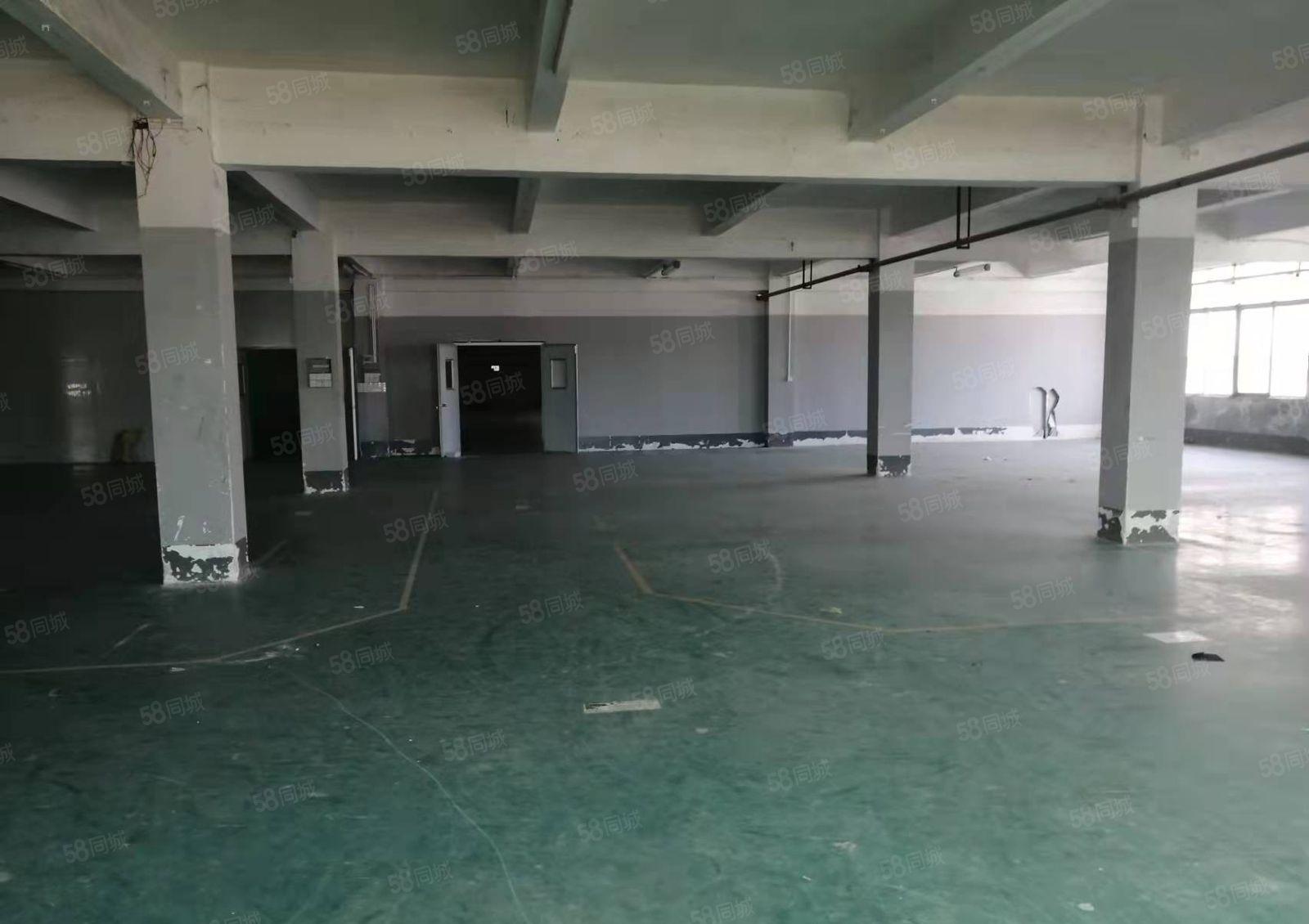 小金新出13块每平（原房东独院厂房）