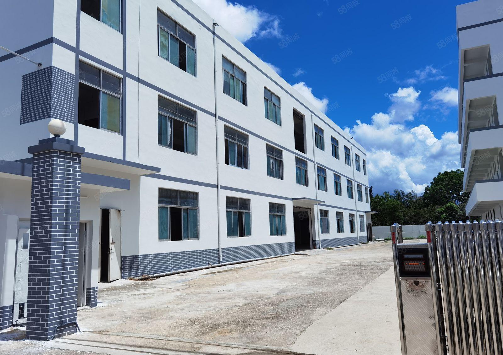 惠城水口镇原房东独院4800平方标准厂房出租,可分租可办环评