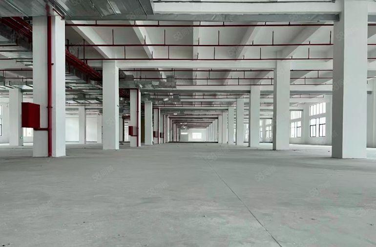 博罗县原房东全新家具行业厂房出租环评无扰