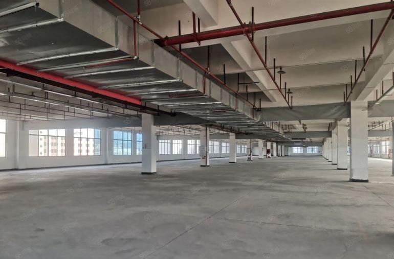 ！哇！5800平米大平层，配10吨5吨3货梯，可分割出租
