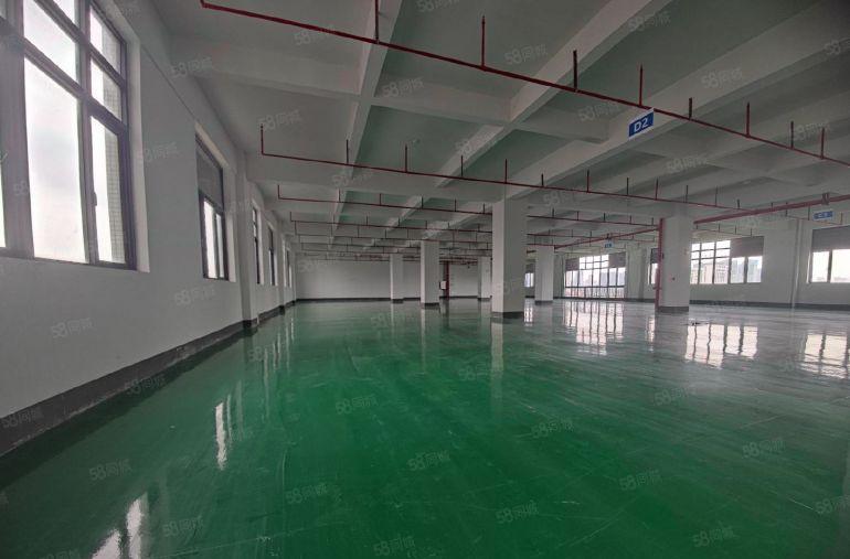 三栋镇原房东10块厂房精装修 300平起分仓库好进车