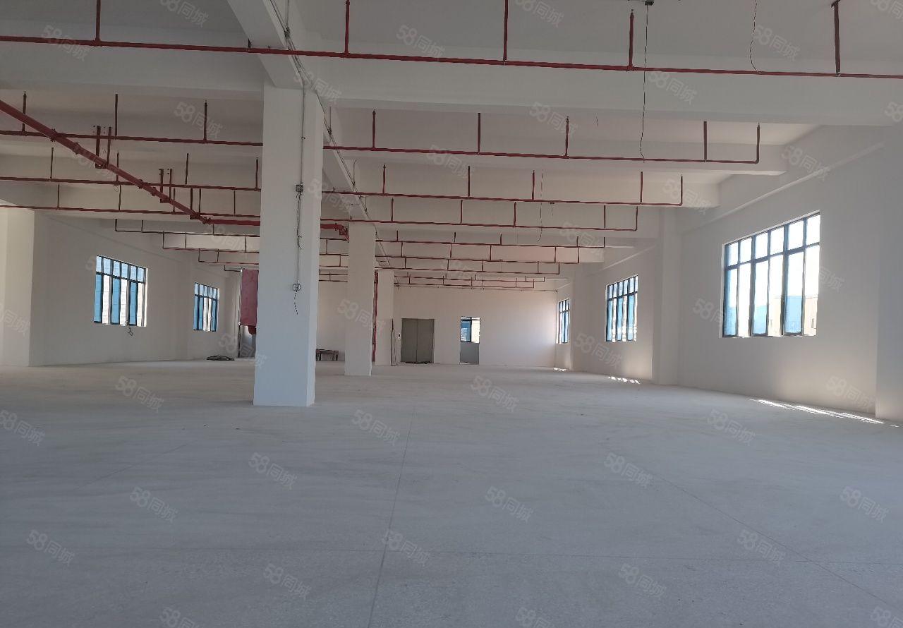 惠城水口龙湖大道旁全新独门独院3800平厂房出租 可分层出租