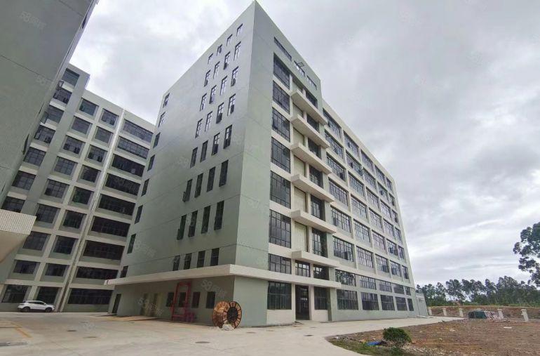 惠州惠城区马安 全新标准化厂房 可分割出租，500平米起租！