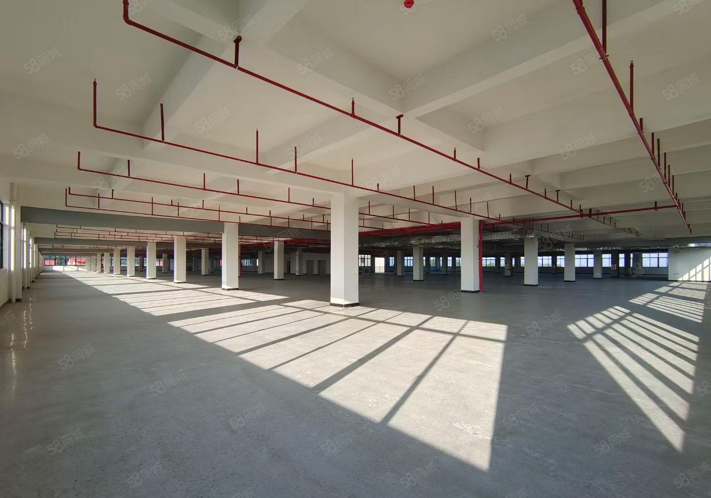 马安全新一二层5200平米红本标准厂房招租