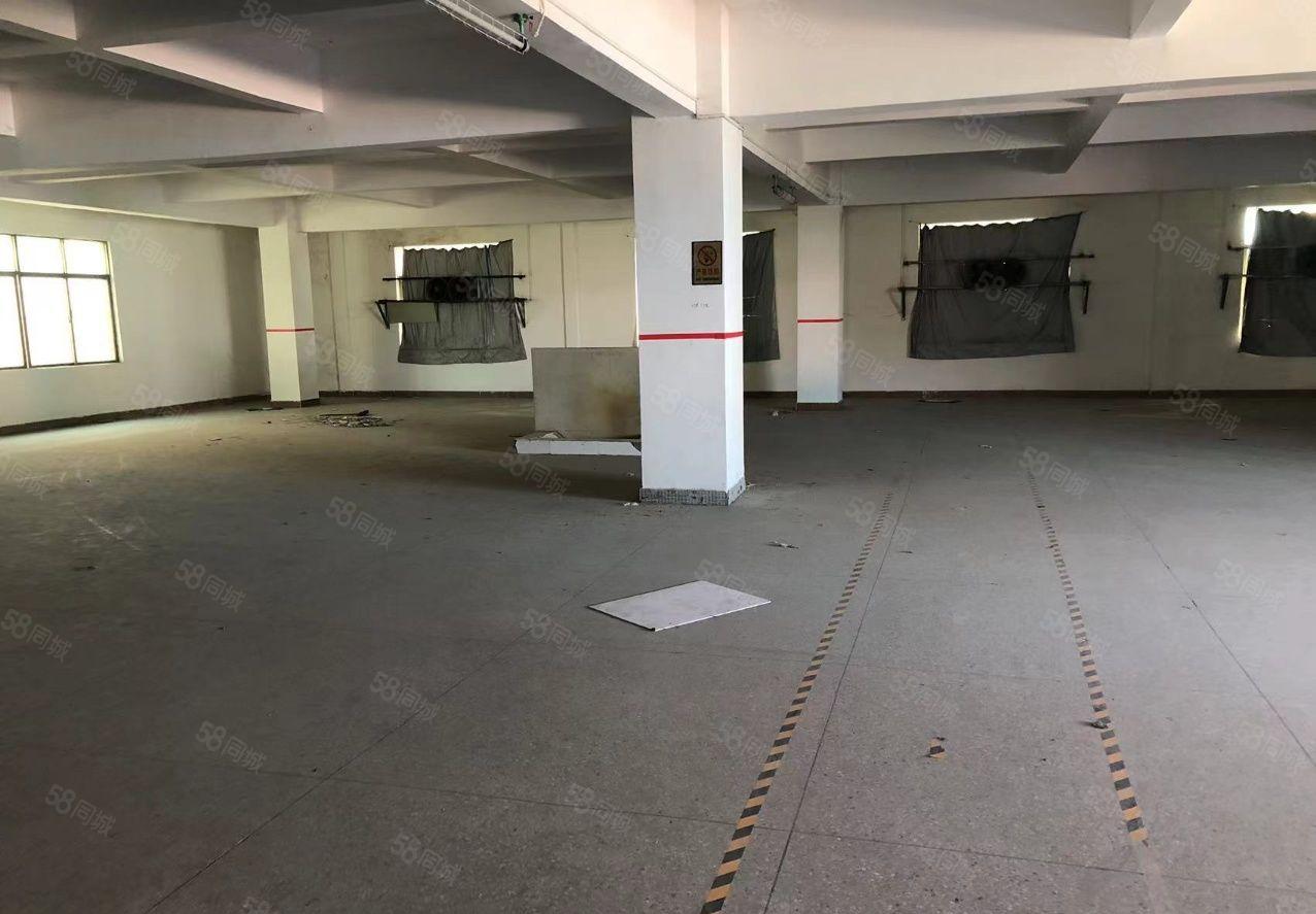 惠州江北，原房东新出独院两层标准厂房，一线路边，停车方便，