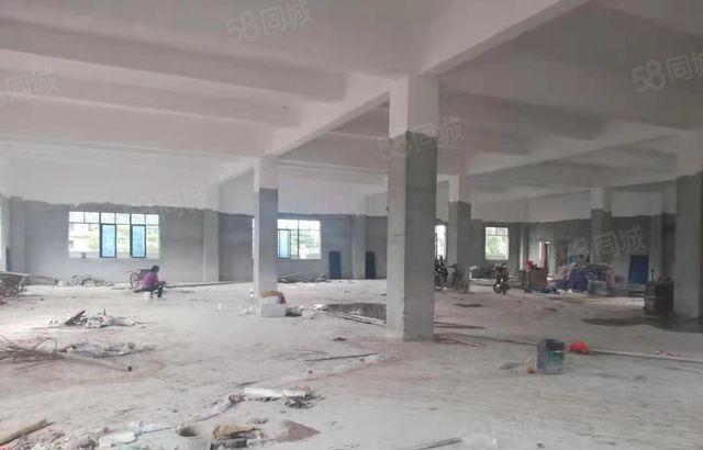 惠城区水口新出全新独院标准厂房出租