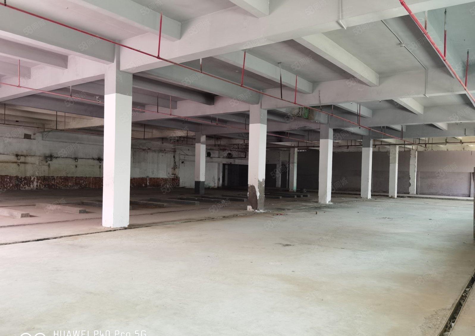 惠城区水口镇原房东红本8000平厂房出租现成证线路板生产线