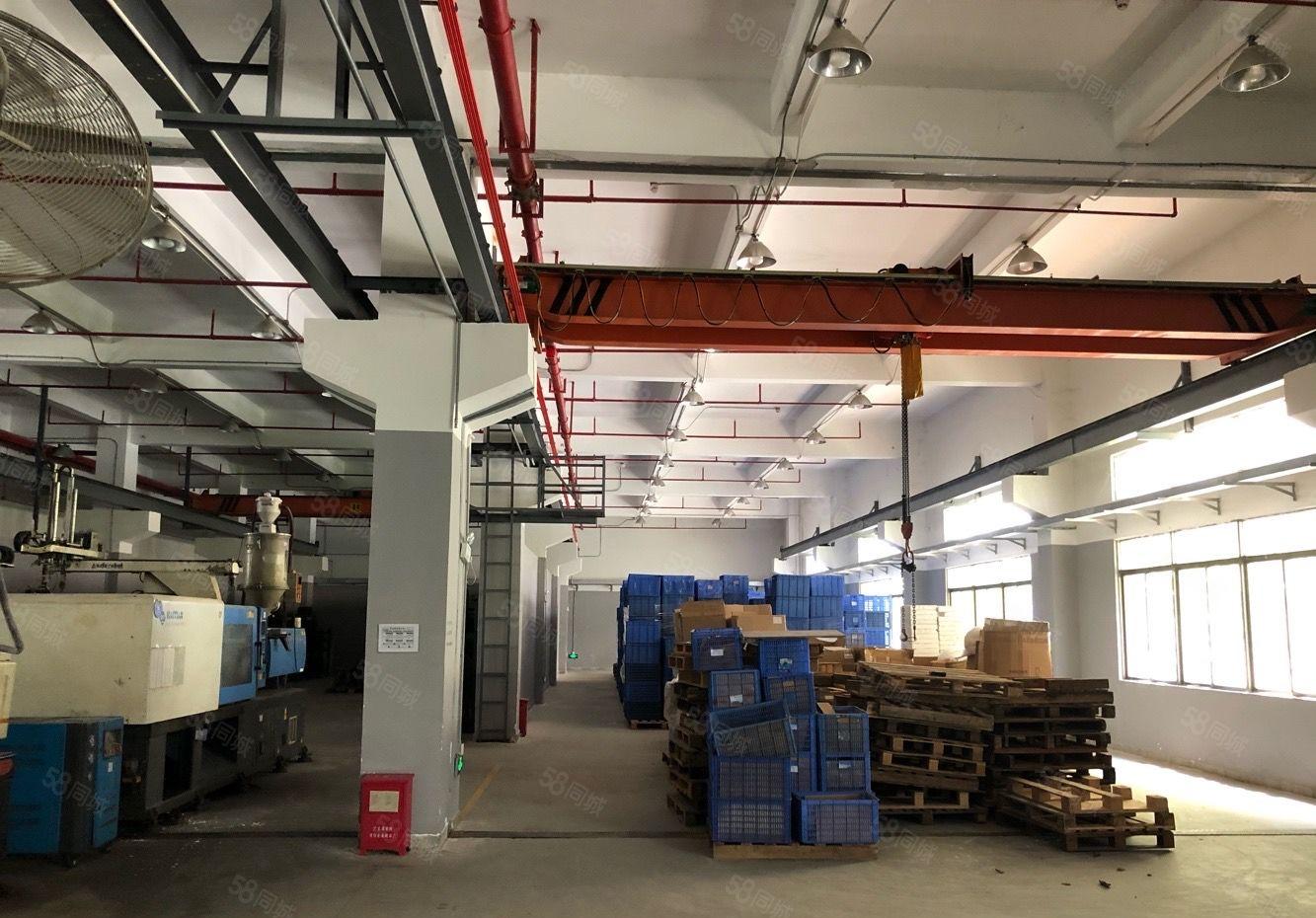 马安一二楼5200平方出租，一楼高6米，二楼承重800KG