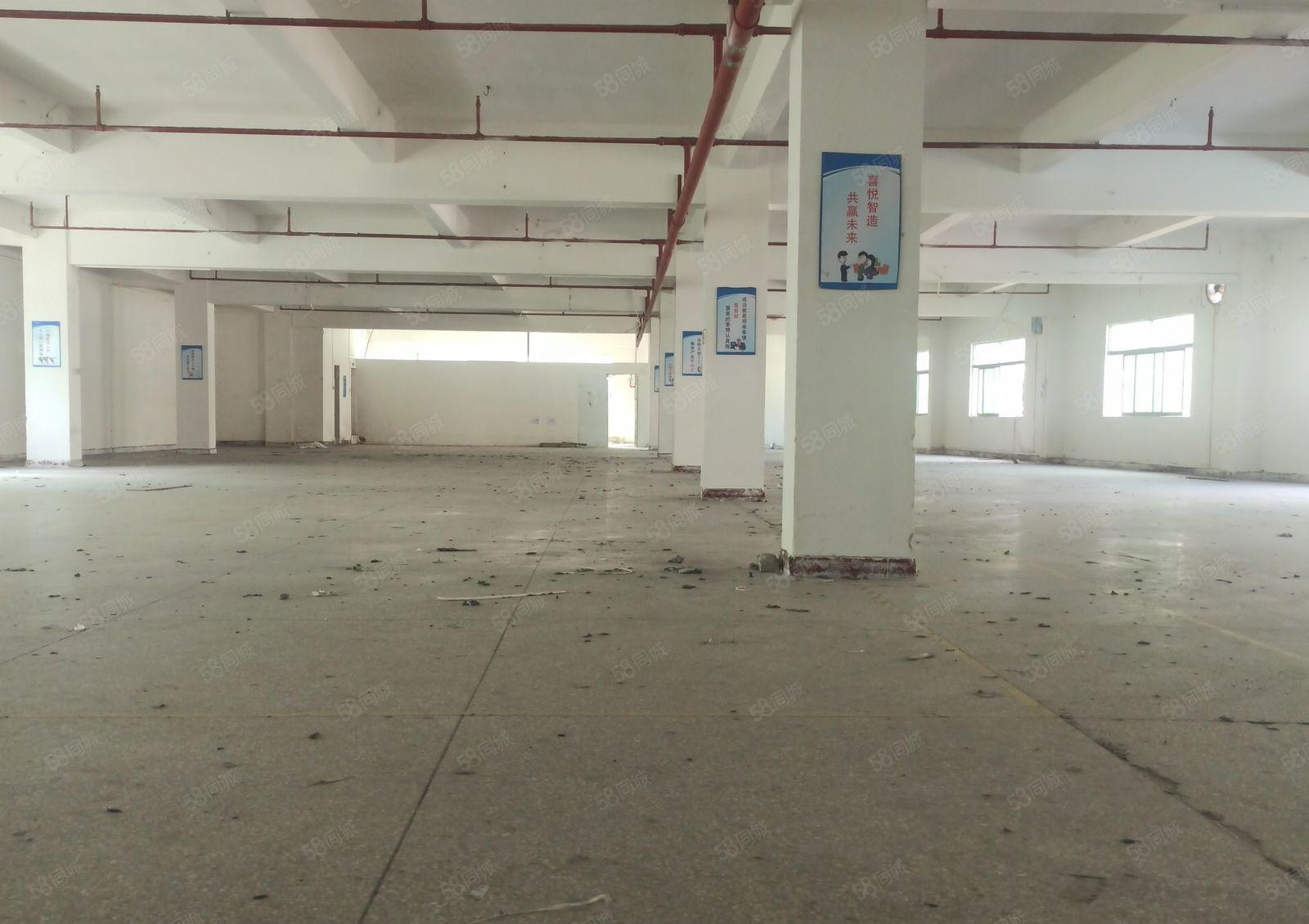 水口三环内龙湖独院厂房4500平方加饭堂办公宿舍1800招租