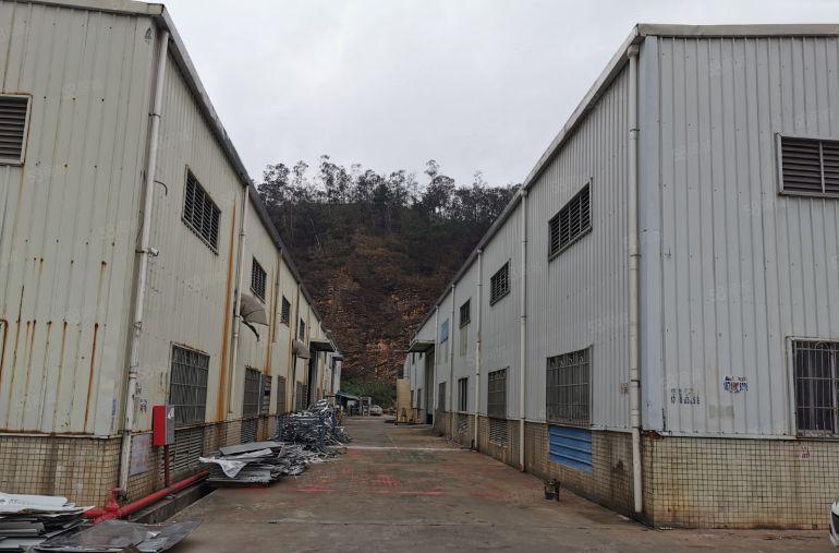 江北原房东直租滴水9米钢构厂房