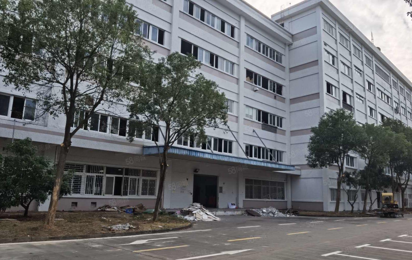 原房东不赚电费，标准厂房6200平方，长100宽30米