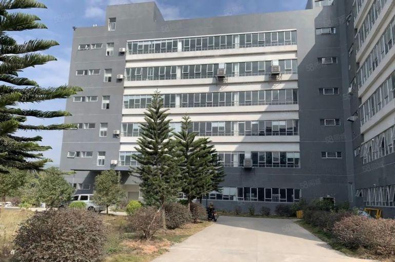 8元！惠城高新区红本厂房仓库出租3600平园区形象好不限行业