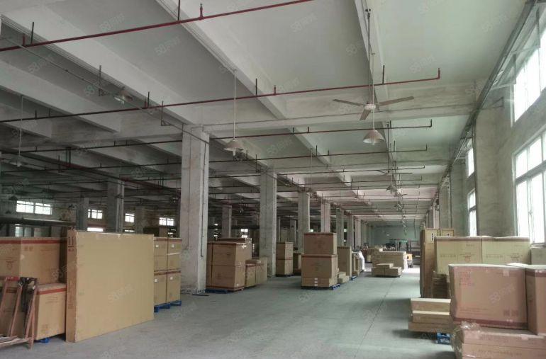 惠惠城区水口原房东标准厂房4500平方出租