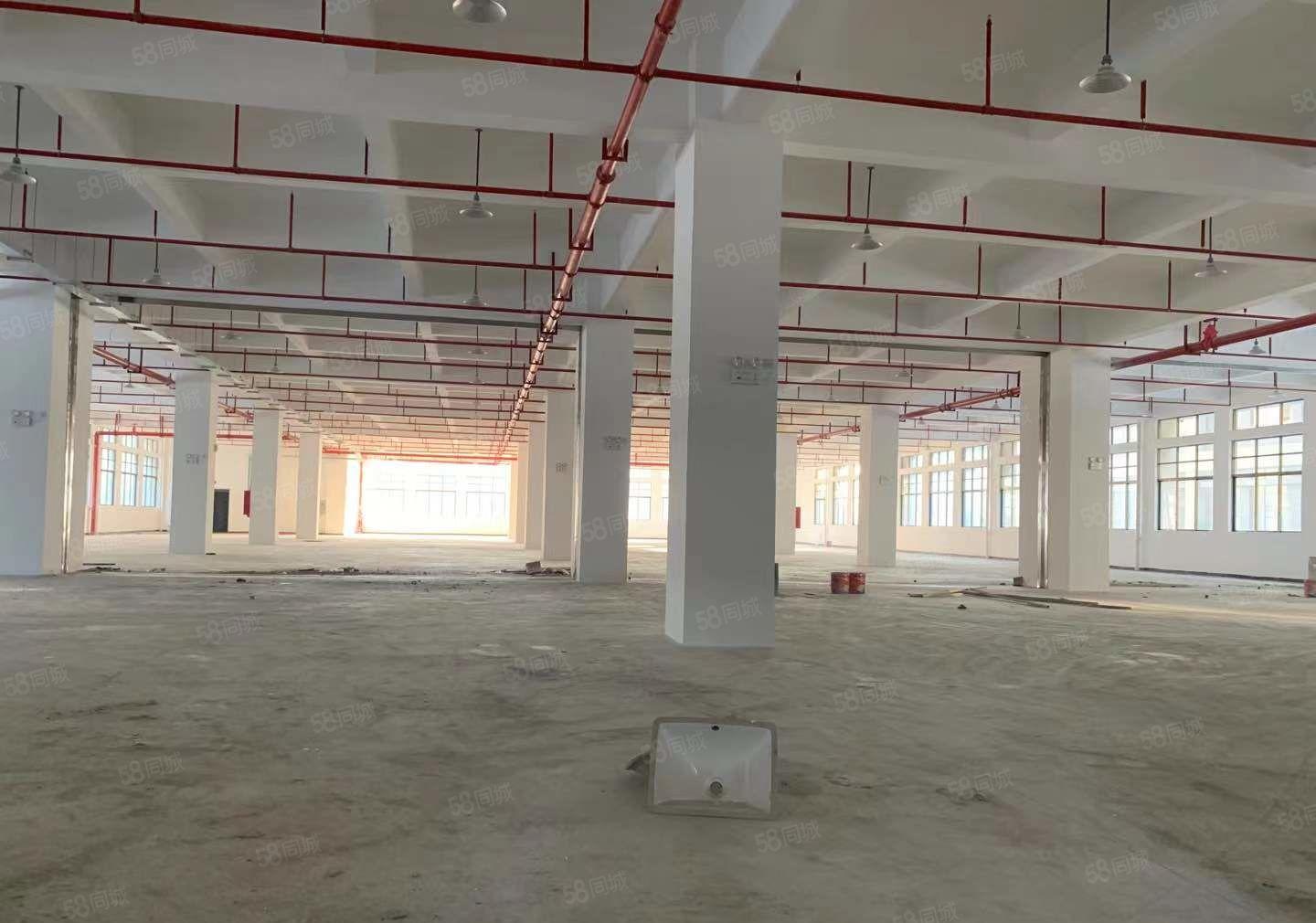 惠城区三栋镇原房东零公摊红本独门独院工业园业主直租