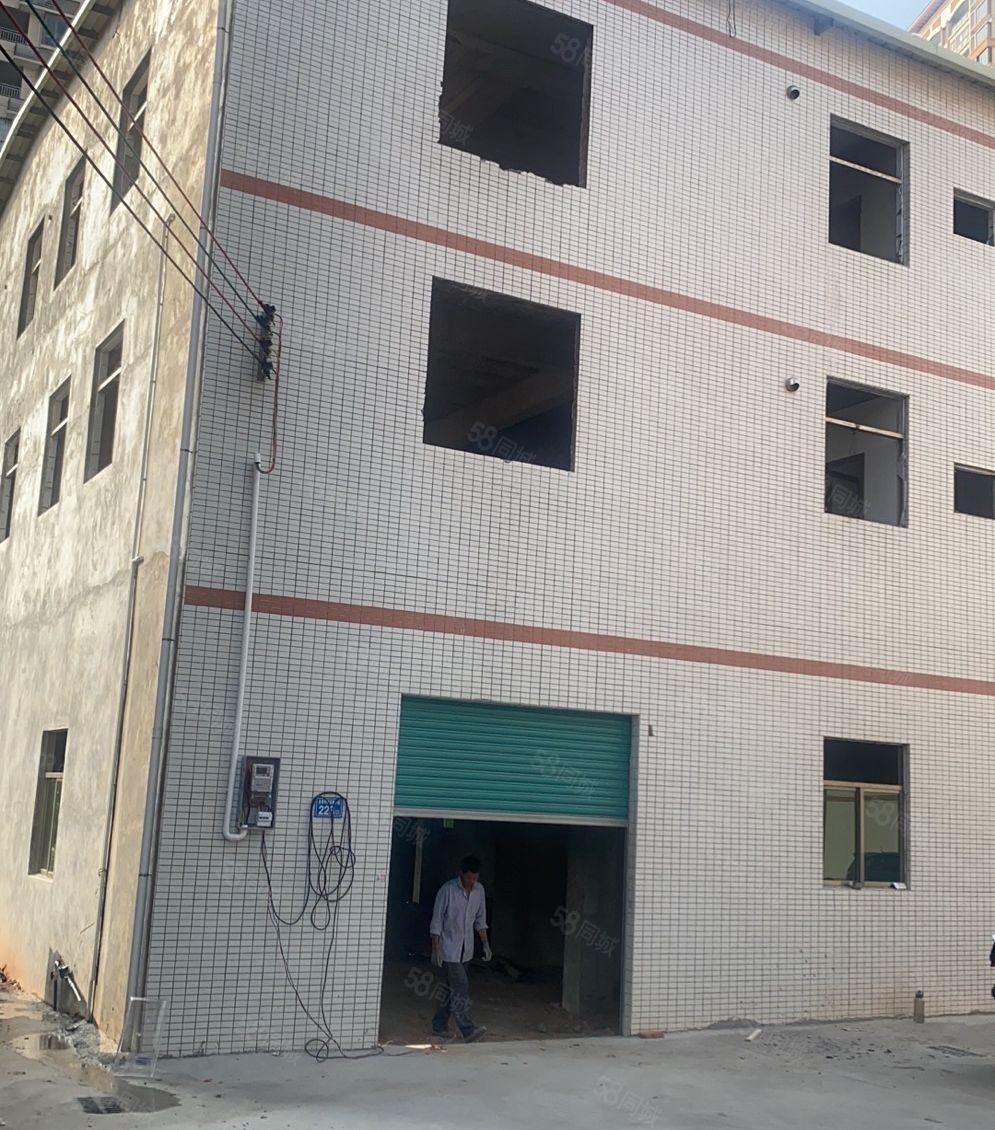 惠博大道旁全新250平楼房出租！带三箱电