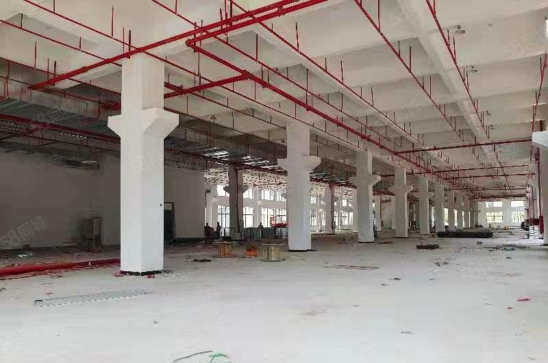 三栋数码园新空出一楼厂房1500平米层高6.5米 证件齐全