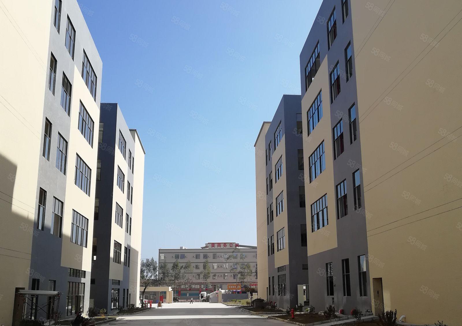 水口仲恺高新区全新厂房火热招租中1000平方起租