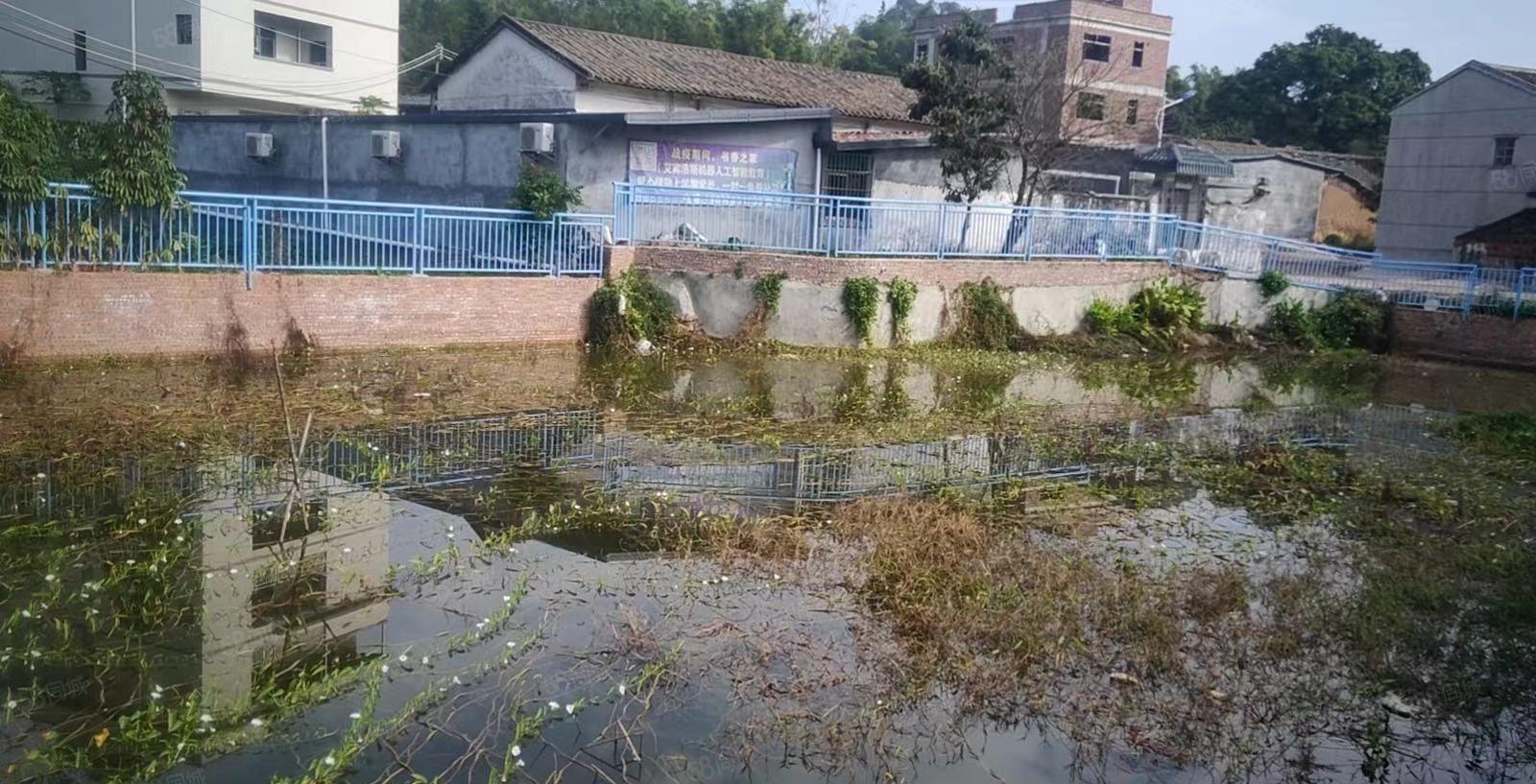 惠城区马安适合做农庄 养植.办公等 房子1千平 鱼塘1千平