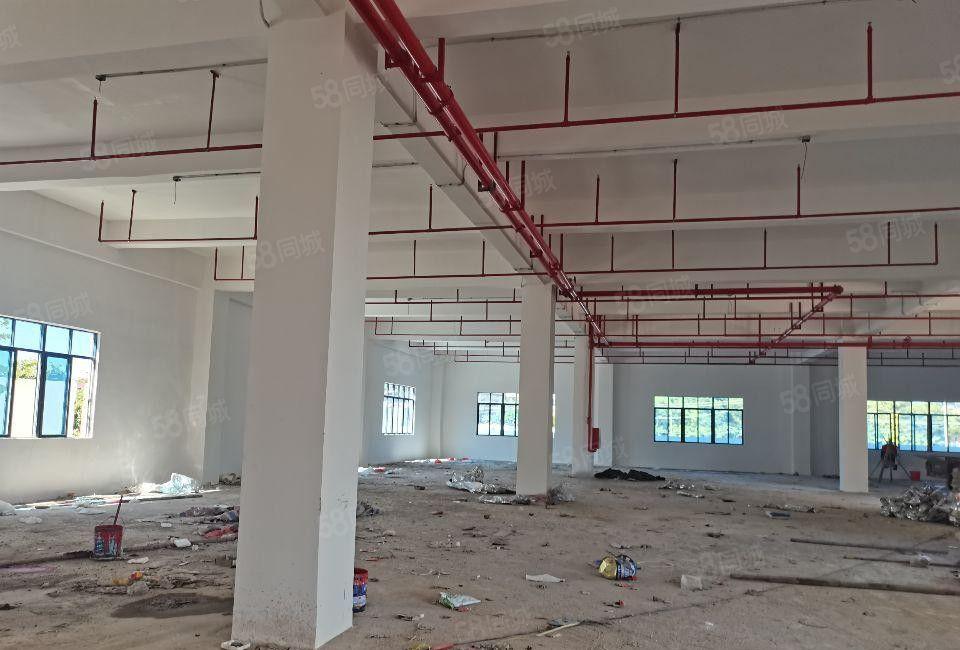 惠城区水口镇主干道原房东独门独院厂房直租