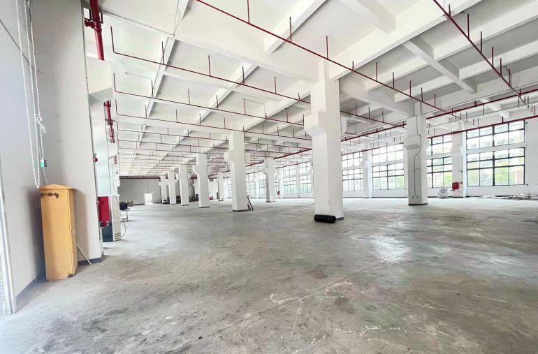 清盘6块!水口单层2000平全新园区厂房实际面积出租.