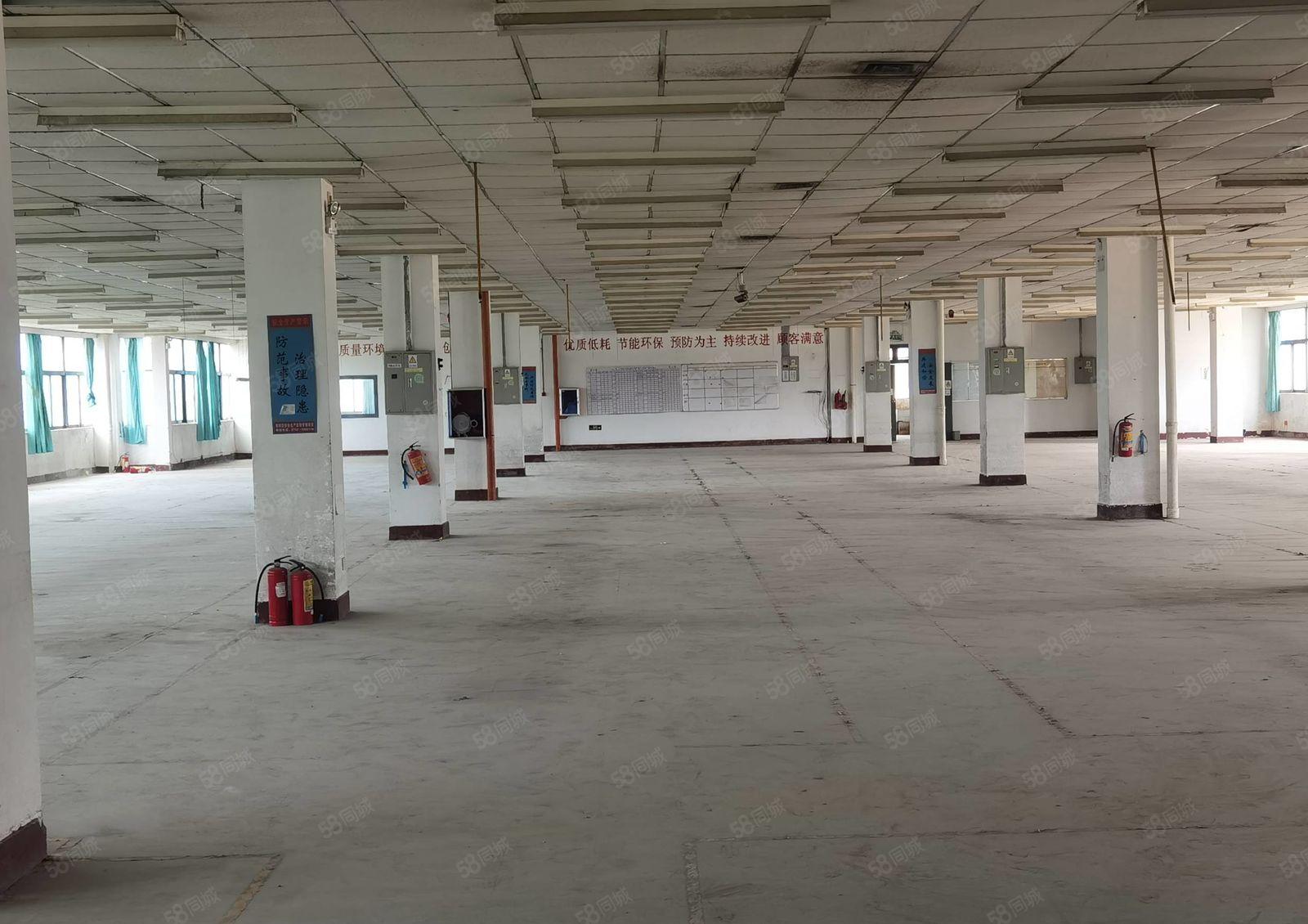 水口一楼楼房仓库1450平方出租，可进大车，空地超大