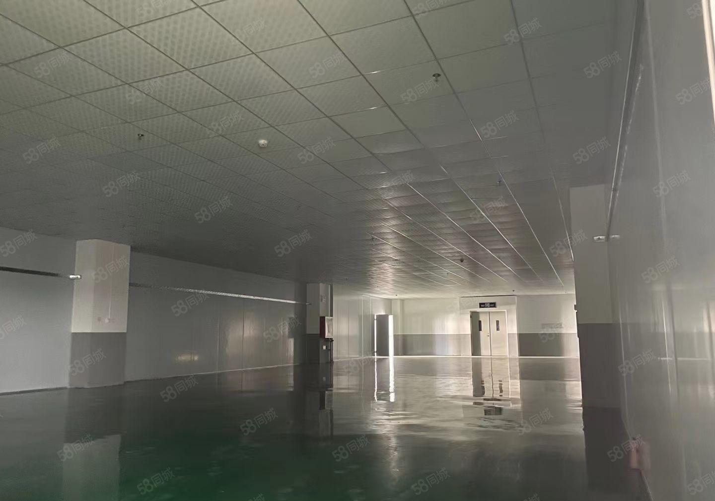 马安豪鹏科技旁工业园楼上一层800平米 全新装修 12元出租