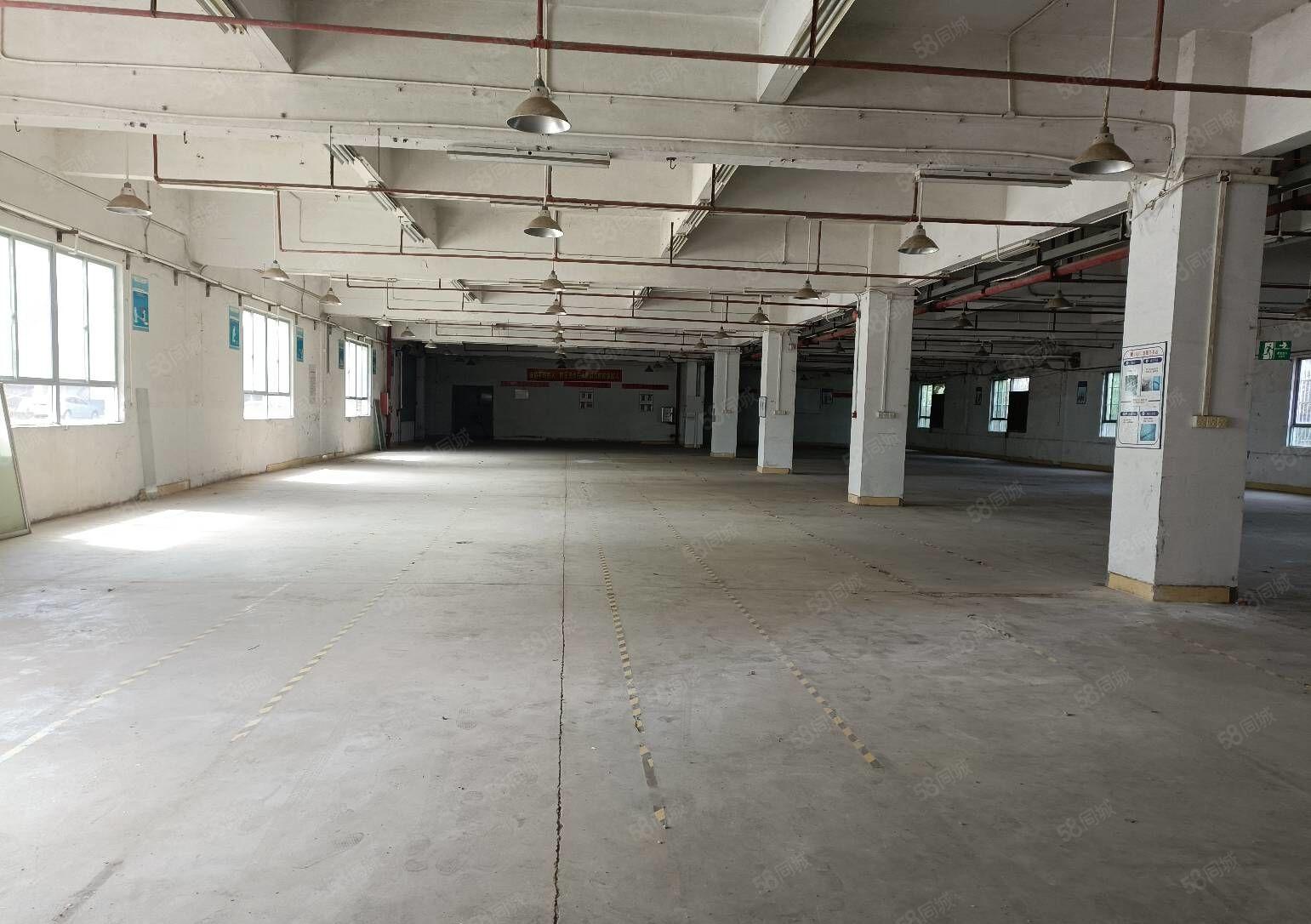 马安新乐花园式三层约5250平方红本带装修厂房招租可分租