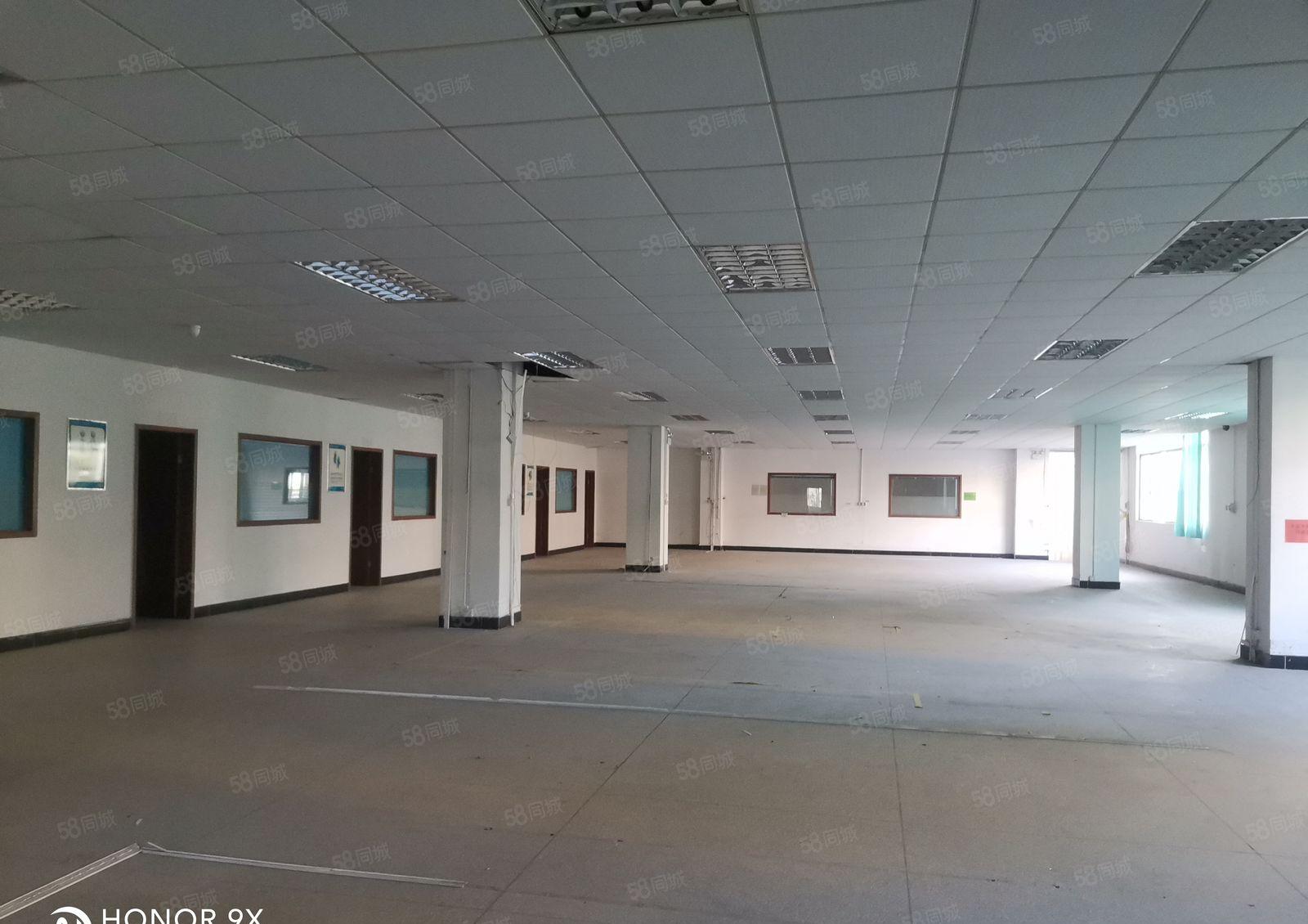 原房东，马安标准厂房4356平米出租，配套全形象靓