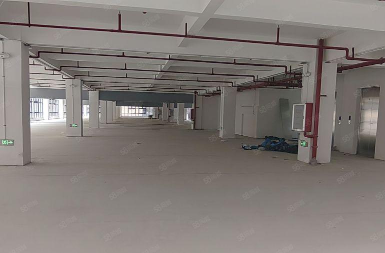 惠城水口7元起有牛角，1万平方独栋厂房，大小面积好分租