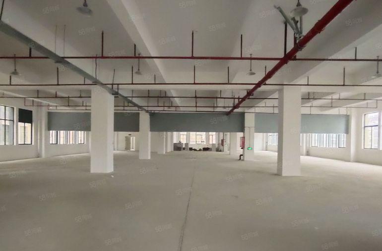 惠城水口工业园厂房出租，300平方起分