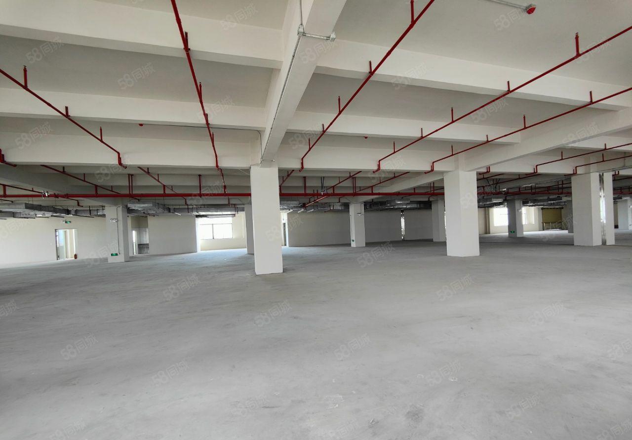 钜惠!惠城区新出花园式独门独院标准厂房出租，证件齐全可办环评