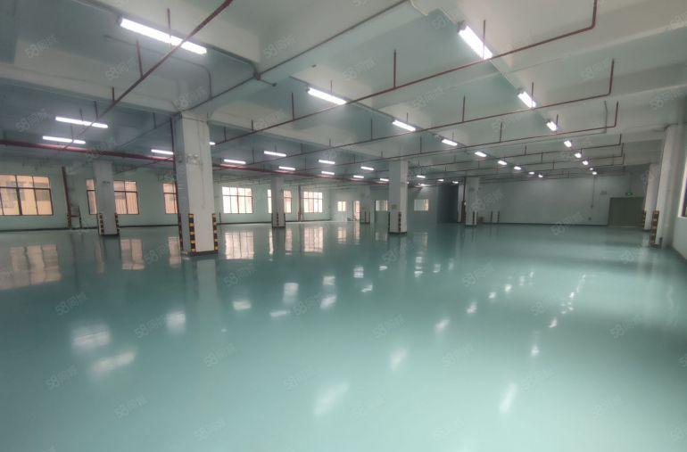 低价10，仲恺三栋红本厂房楼上精装修2000平方 原房东直租