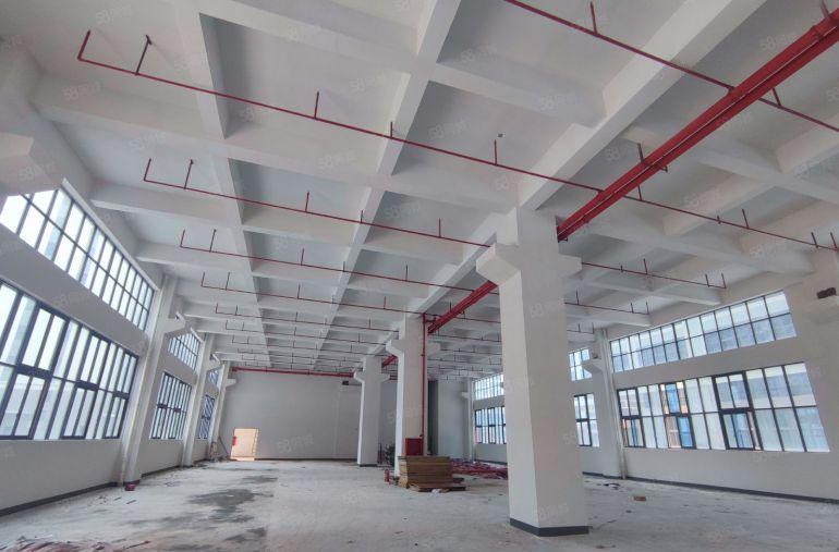 水口原房东全新工业园厂房出租单层1500平现在入驻租金7元起