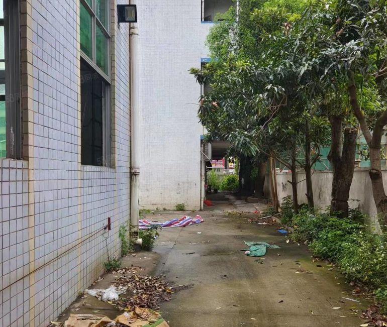 靓马安新出独院厂房4500平米招租