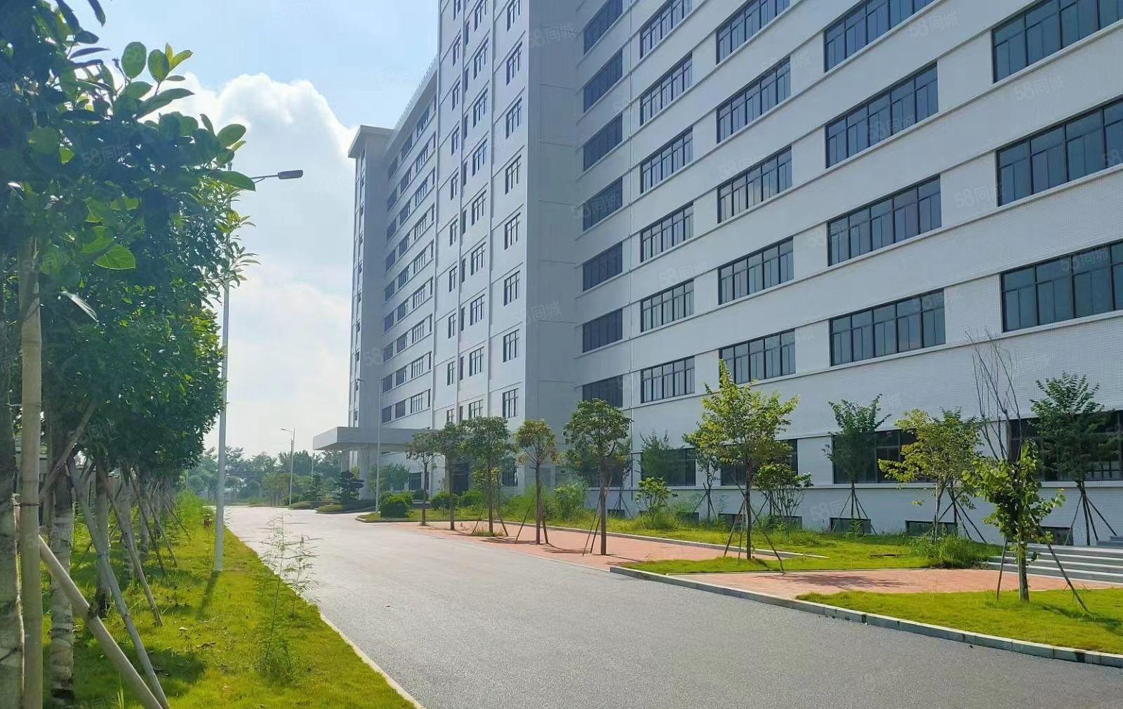 水口花园式大型产业园红本厂房招商，大小可分，园区配套齐全