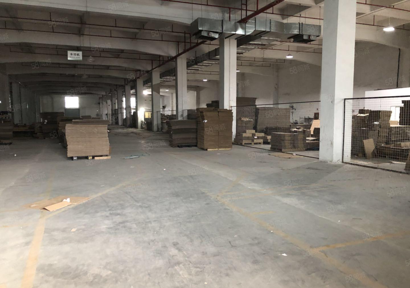 小金口一楼3200平方13元