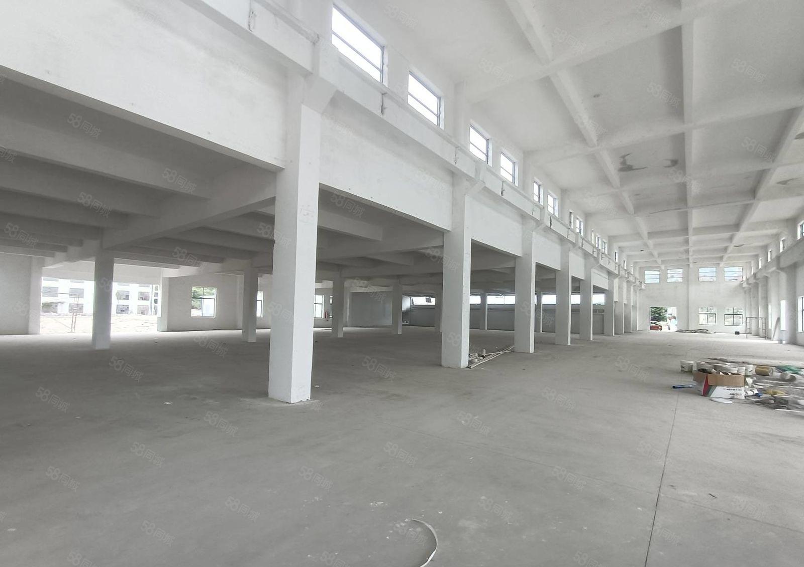 惠城区江南大道旁红本工业园一楼标准9米高厂房3500平方出租