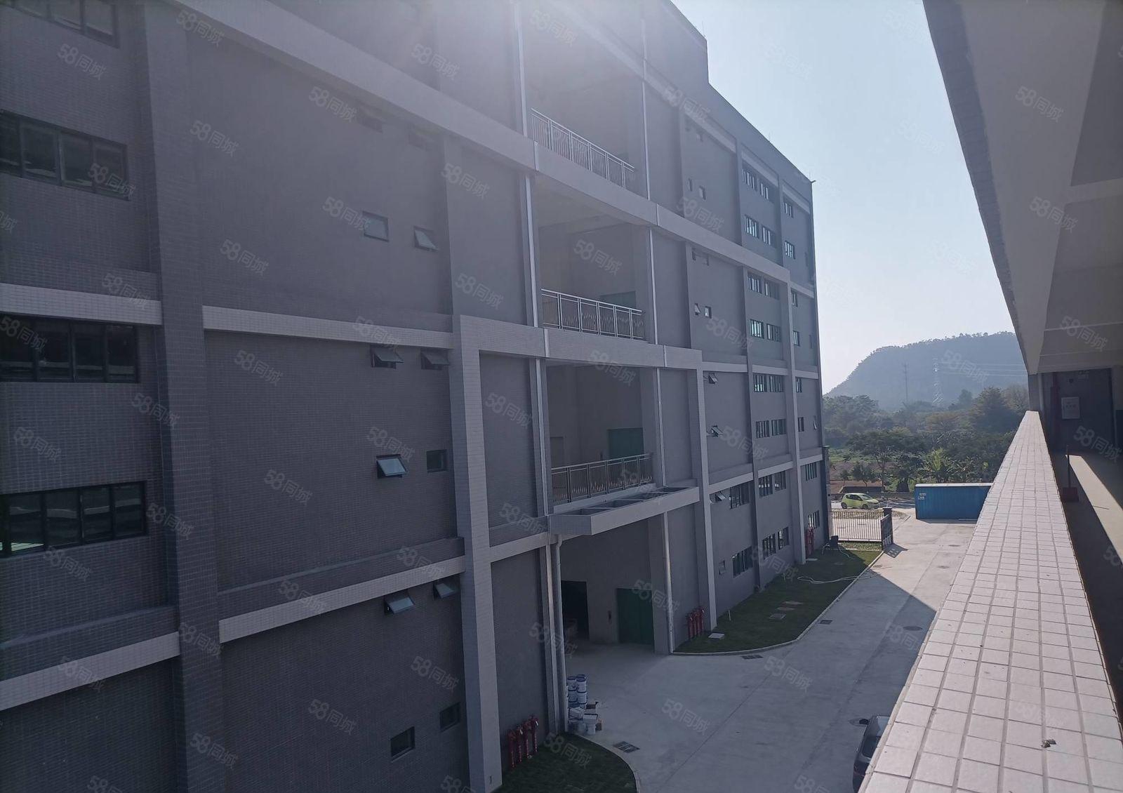 （信）原房东独院12000平，性价比高，办厂14元