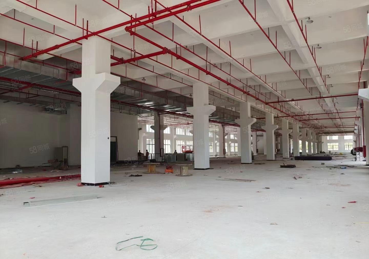 合马安全新一二层5200平方红本标准厂房招租