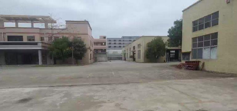 三栋镇独门独院单一层钢结构厂房仓库出租 大小面积可分租