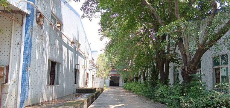 小金口红本单一层厂房低价出租