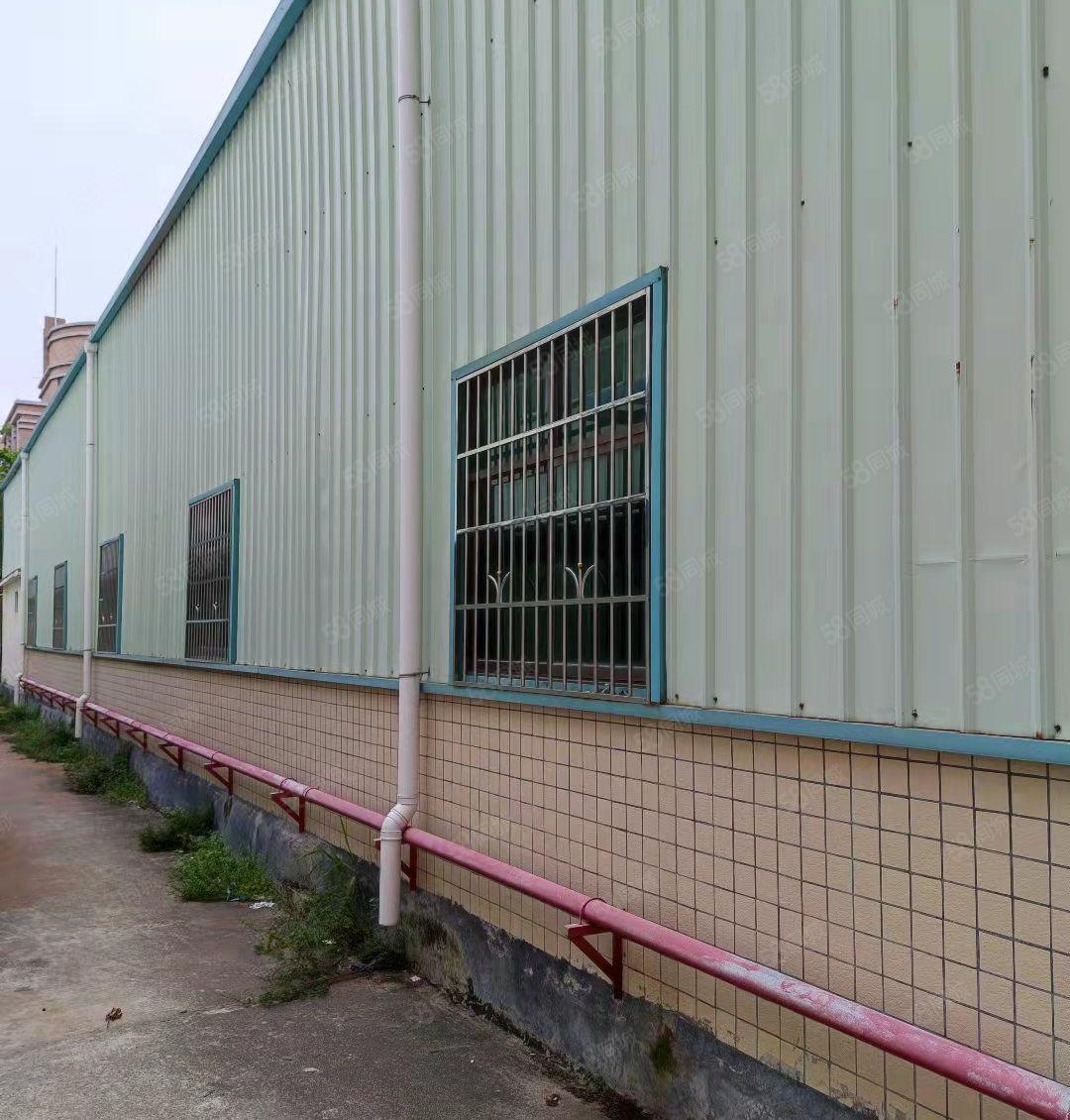 惠城区四环路单一层3500平方钢结构厂房出租 证件齐全