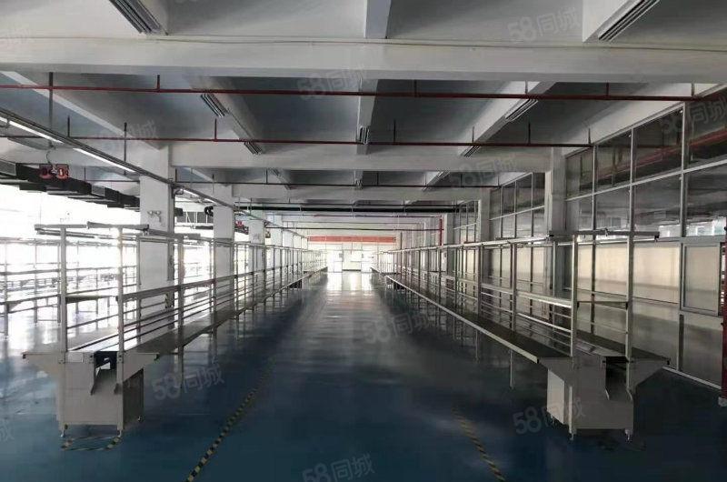 惠州三栋9900平带天然气管道红本标准厂房一楼9米出租