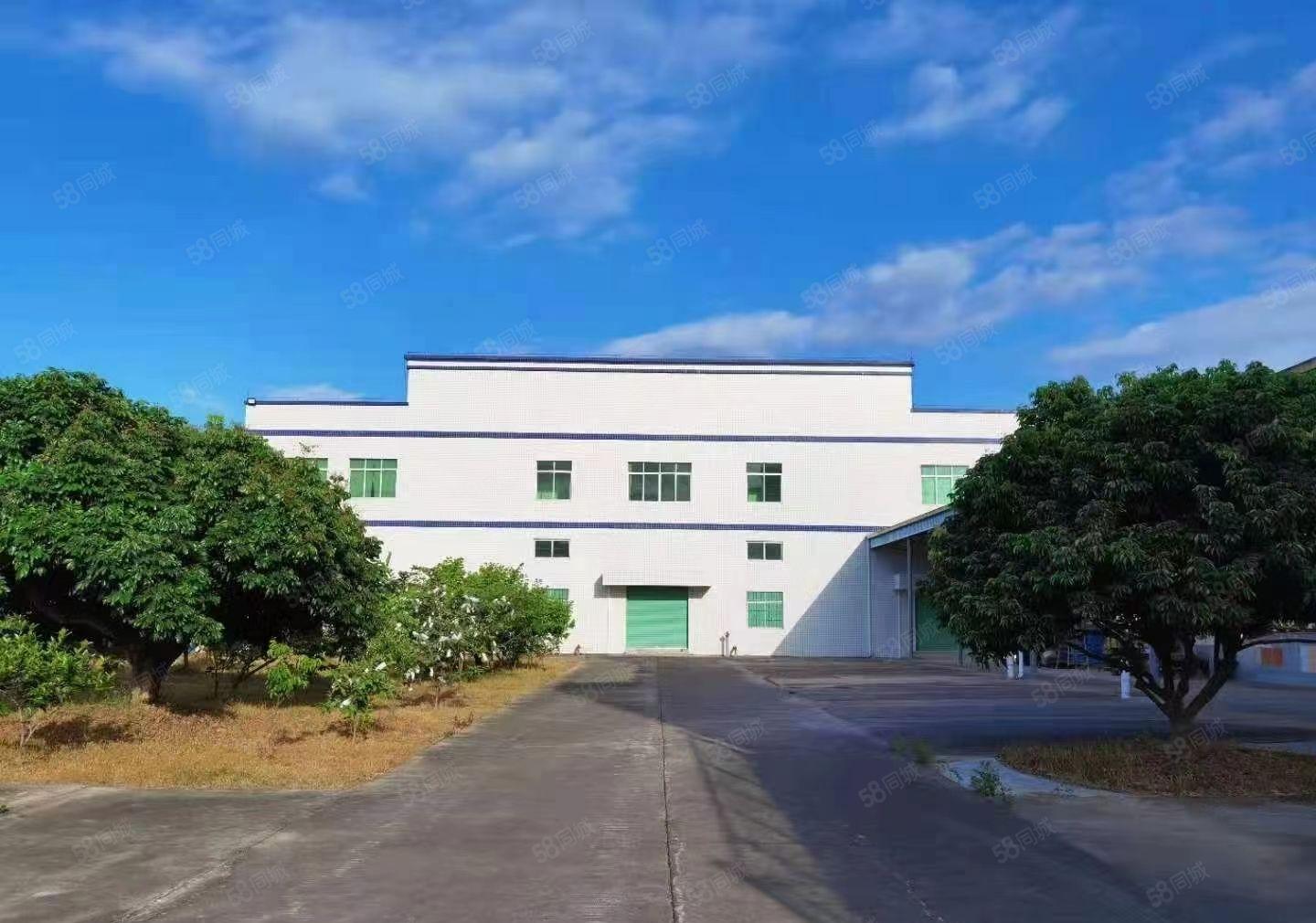 原房东全新独院钢构厂房12000平方招租