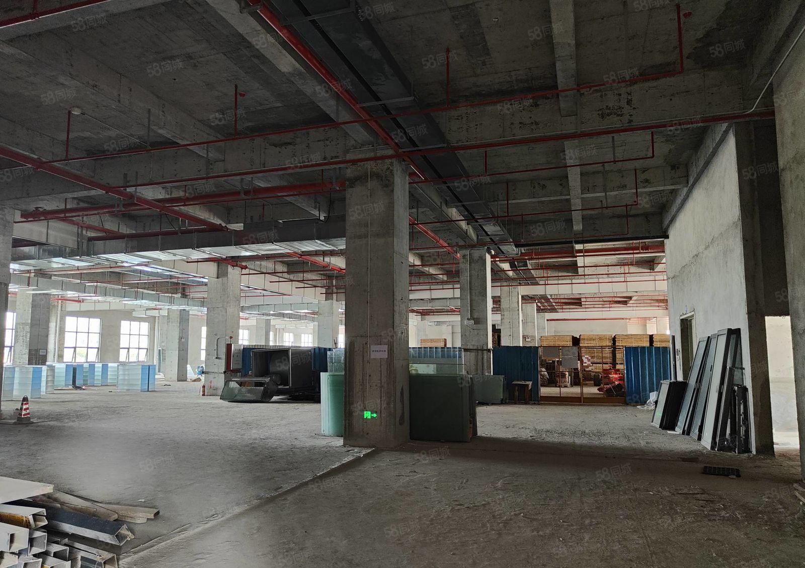 原业主！小金口全新标准厂房1楼3300平米出租